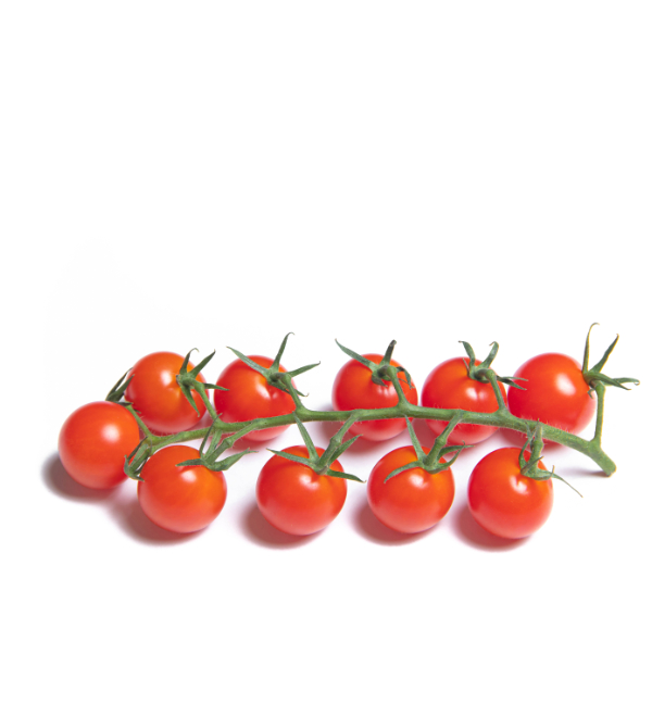 Tomate Cherry